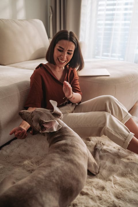 Young Woman Playing With Her Weimaraner Dog On A Fluffy Rug