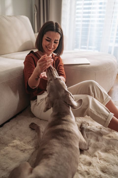Woman Enjoying Playful Morning With Her Dog At Home