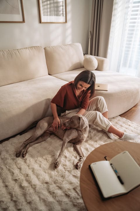 Relaxed Woman Cuddles Her Weimaraner Dog on Fluffy Rug at Home