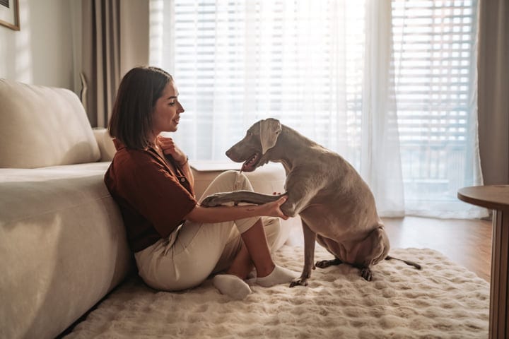 Woman Holding Dog's Paw Sitting On Rug In Sunlit Living Room At Home