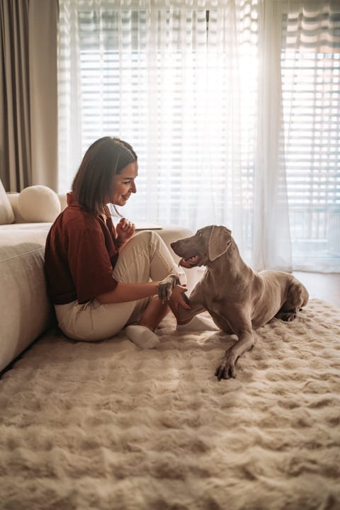 Young Woman Sits On Floor And Playfully Holds Her Weimaraner's Paw