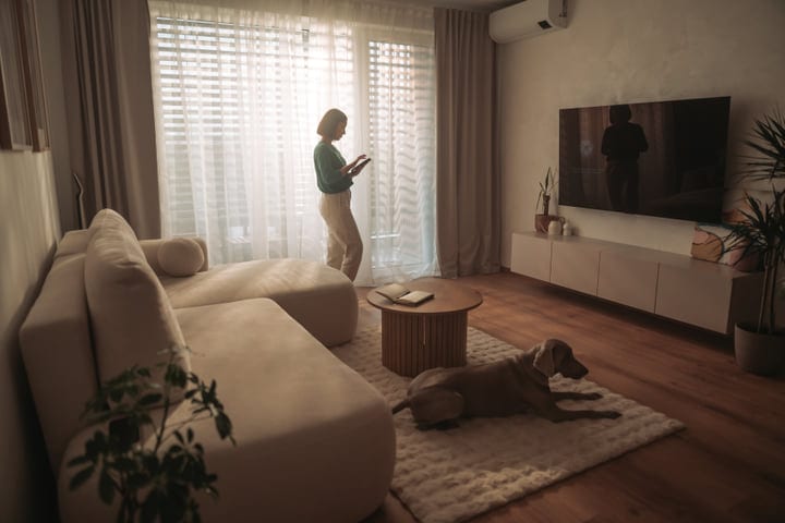 Woman Stands By Window Using Tablet In Bright Modern Living Room With Dog
