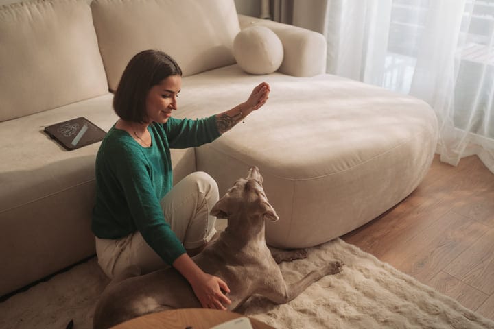 Woman Petting Her Dog While Sitting On The Floor At Home