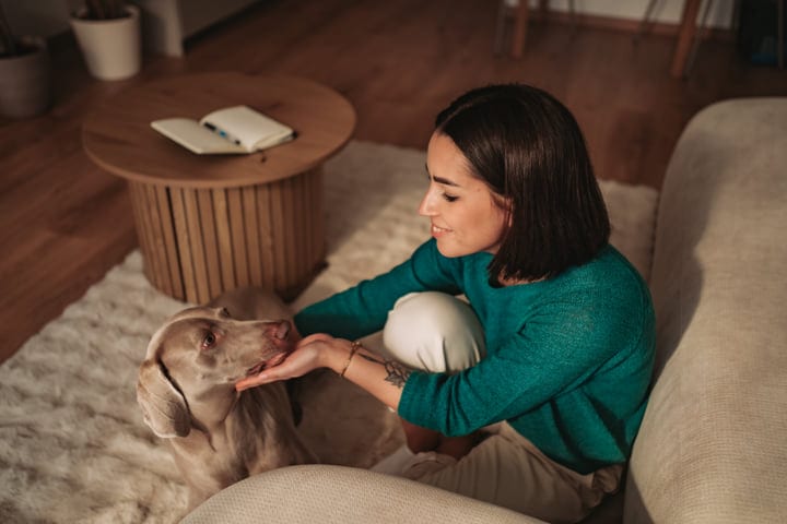 A Quiet Morning With a Loyal Companion