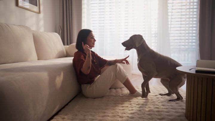 Morning Moments: Woman Teaching Her Dog New Tricks