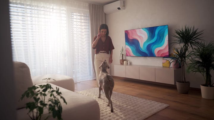 Woman Interacts With Her Weimaraner Dog In Sunny Morning Home