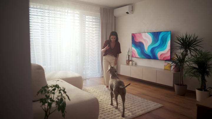 Young Woman Plays With Her Weimaraner Dog In A Bright Modern Living Room
