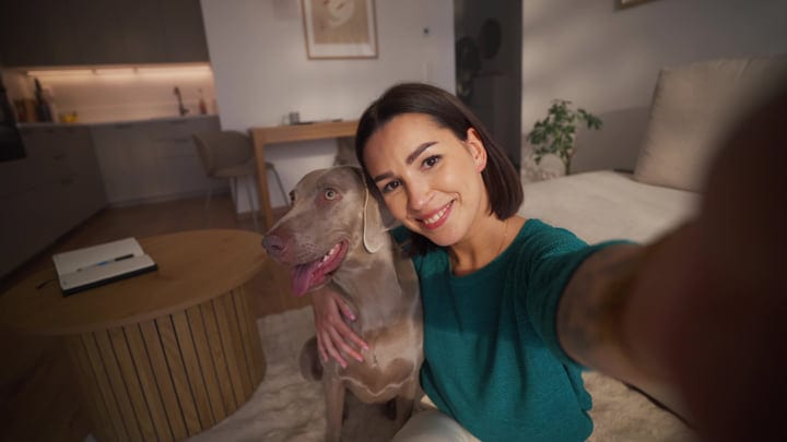 Young Woman And Her Weimaraner Dog Taking A Selfie Together At Home