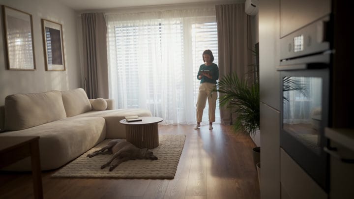 Young Woman Holding Tablet By Window In Bright Modern Living Room