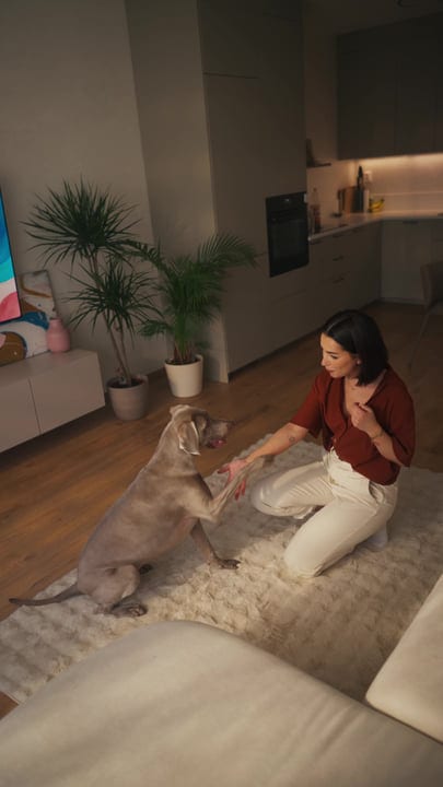 A Cozy Start: Woman Plays With Her Dog