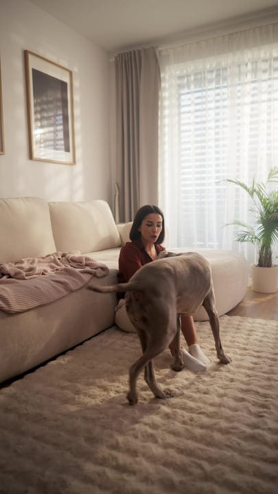 Sunlit Mornings: A Cozy Moment with a Furry Friend