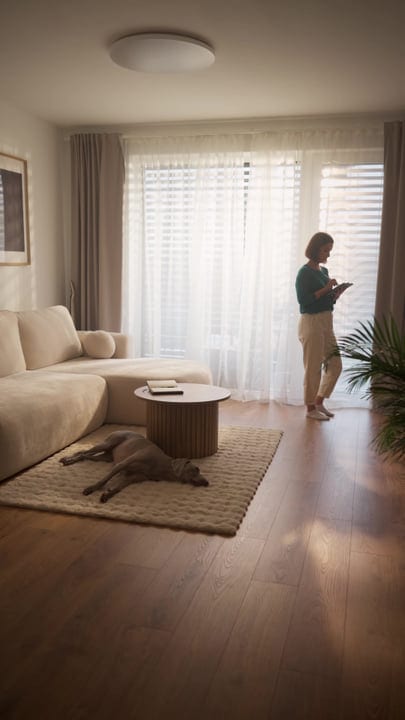 Woman stands by a window checking her phone with a dog on a rug nearby in morning light